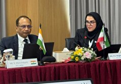 تشریح برنامه‌های آموزشی گمرک در نشست روسای مراکز آموزش منطقه‌ای WCO