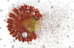 این سرطان مستقیماً با انواع پرخطر ویروس HPV مرتبط است