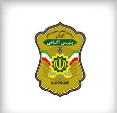 تشریح برنامه‌های هفته فراجا در پلیس آگاهی/ راه‌اندازی طرح «بتا» برای استرداد اموال مسروقه