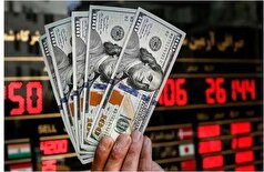 راهکار بانک مرکزی برای تعادل قیمت ارز در بازار چه خواهد بود؟