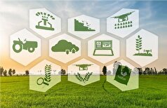 نقش محوری استان لرستان در تولید محصولات زراعی