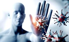 DNA حامل ژن ویژگی طول عمر نیست!