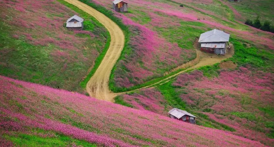 ۵ مقصد زیبا و پاییزی برای یک ماجراجویی تمام عیار در دل طبیعت