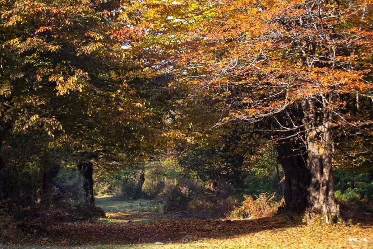 ۵ مقصد زیبا و پاییزی برای یک ماجراجویی تمام عیار در دل طبیعت