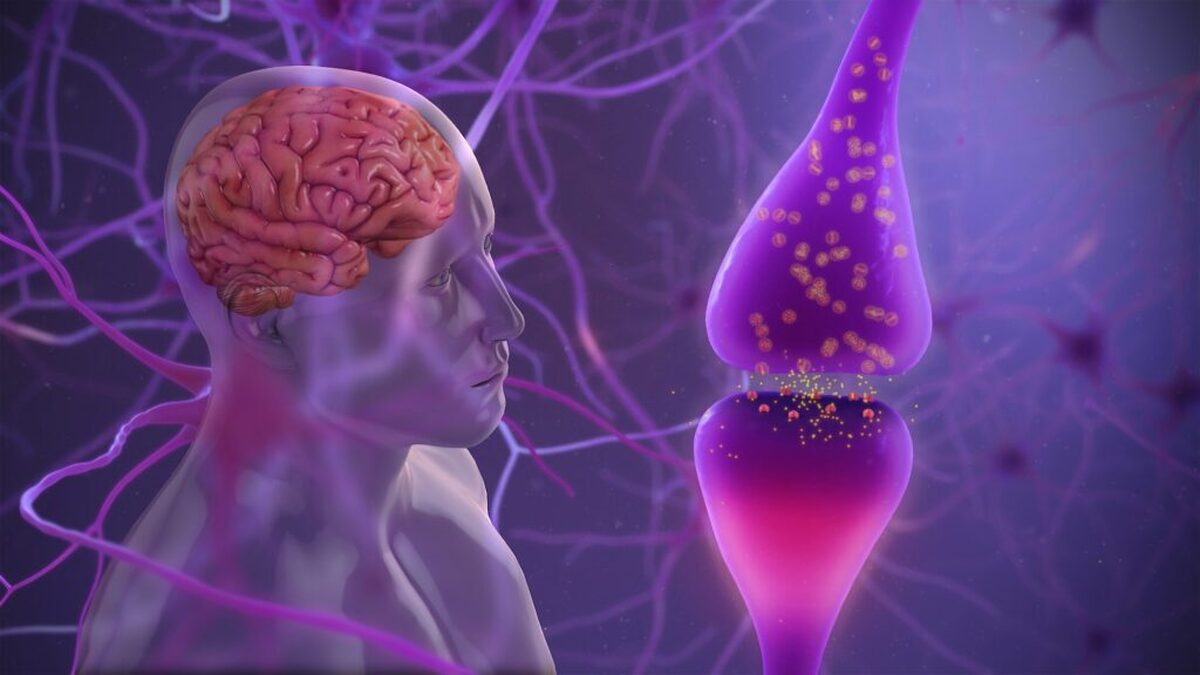 سختی‌های اولیه منجر به رشد سریع مغز با خطرات بلندمدت می‌شود