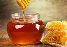 مصرف عسل در دوران بارداری جنین چه تاثیری بر جنین دارد؟