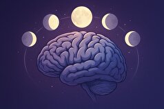 مغز زنان در دوران قاعدگی چه تغییراتی را حس میکند؟