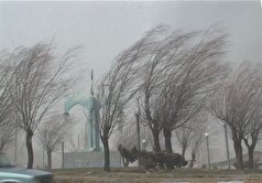 کاهش دما و وزش باد در استان کرمان / ماندگاری هوای سرد تا پایان هفته