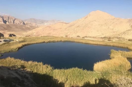 اختلافات مالی در ولنجک که با قتل بی رحمانه ۳ عضو خانواده پایان یافت