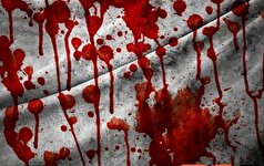 اختلافات مالی در ولنجک که با قتل بی رحمانه ۳ عضو خانواده پایان یافت