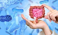 مدیتیشن و سلامت روده؛ گفت‌وگوی شگفت‌انگیز ذهن و بدن