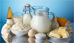ممنوعیت مصرف این لبنی‌ها برای زنان باردار
