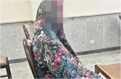 عامل قتل پیرزن تهرانی آشنا از آب در آمد!