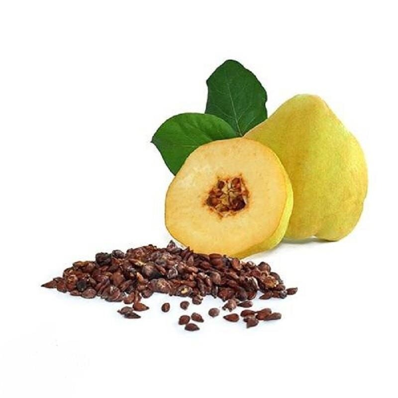 دمنوش به‌دانه برای چی خوبه؟ چجوری درستش کنیم؟