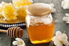 مصرف عسل در دوران بارداری چه سود و ضرری برای جنین دارد؟