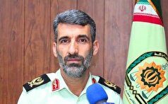 کشف بیش از ۲۴۸ کیلوگرم تریاک در عملیات مشترک پلیسی