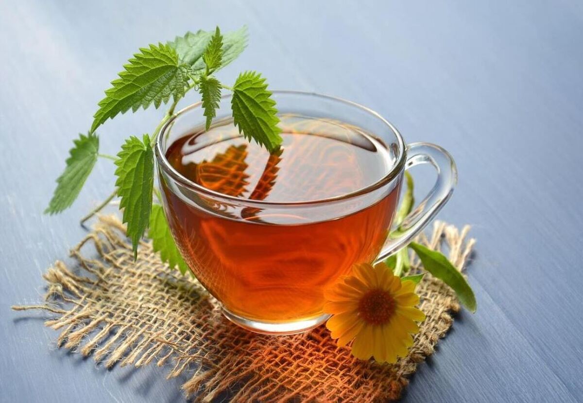 معرفی ۷ دمنوش با خواص ویژه و مهم برای آرامش روان+روش تهیه