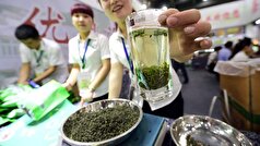 Molecules: چای سبز مضرات قلیان را کاهش می‌دهد