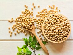 خواص سویا که نمیدانستید!