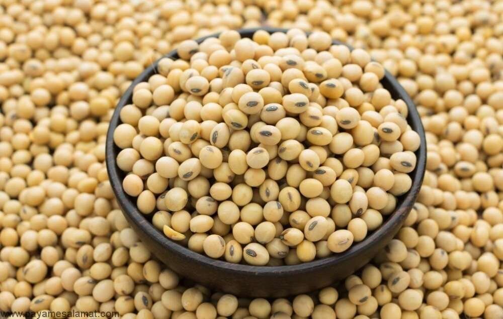 بررسی خواص معجزه آسای سویا برای سلامت