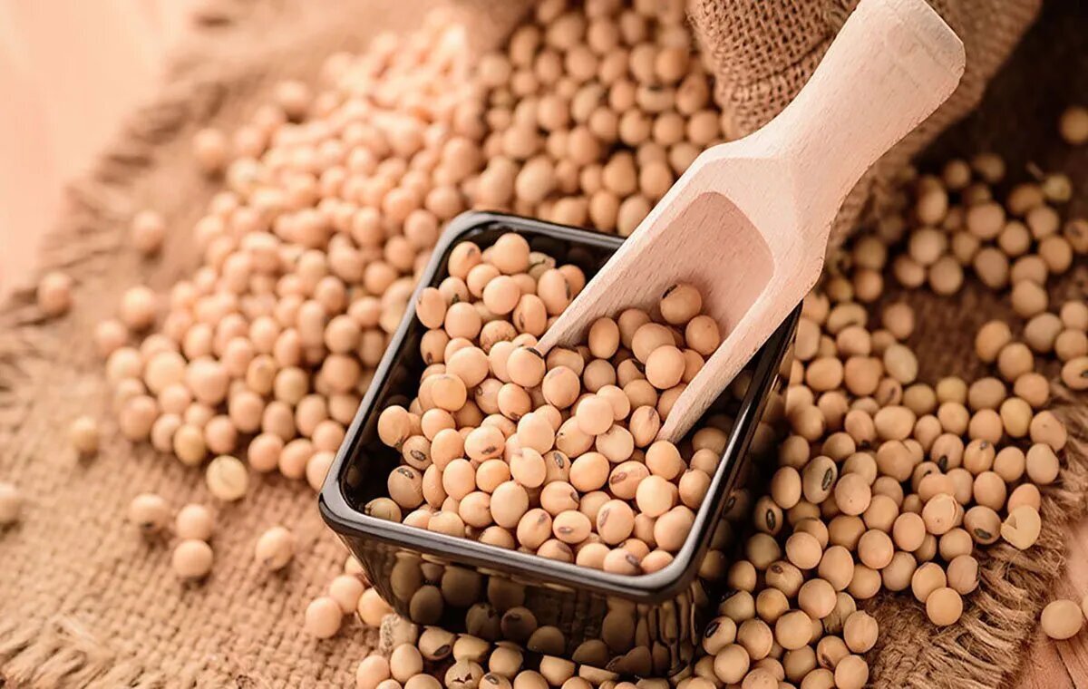 بررسی خواص معجزه آسای سویا برای سلامت