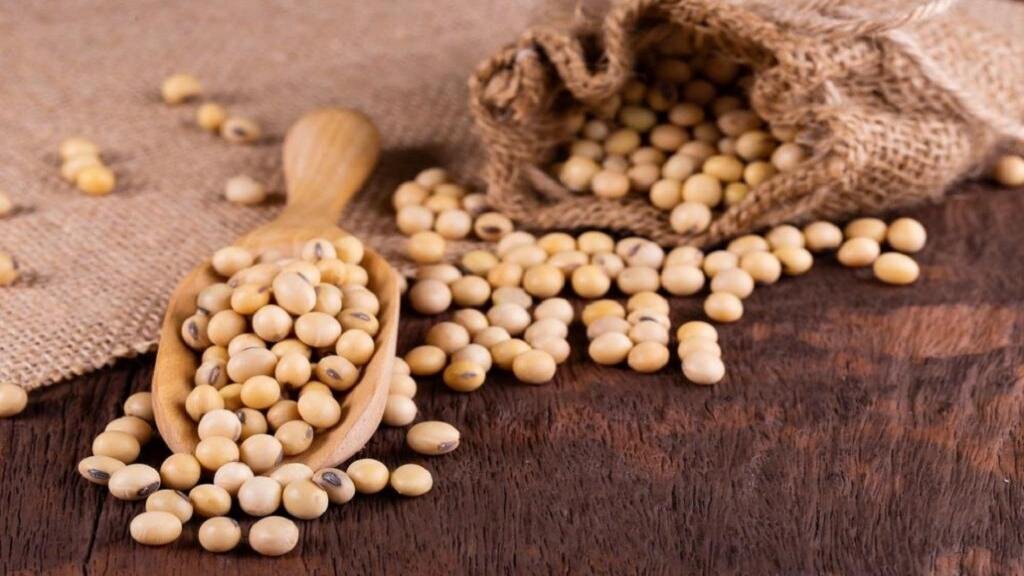 بررسی خواص معجزه آسای سویا برای سلامت