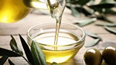چند خاصیت مهم برای زیتون که نمیدانستید!