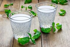 عرق بیدمشک، نوشیدنی‌ای از دل طبیعت که شما را به آرامش می‌رساند