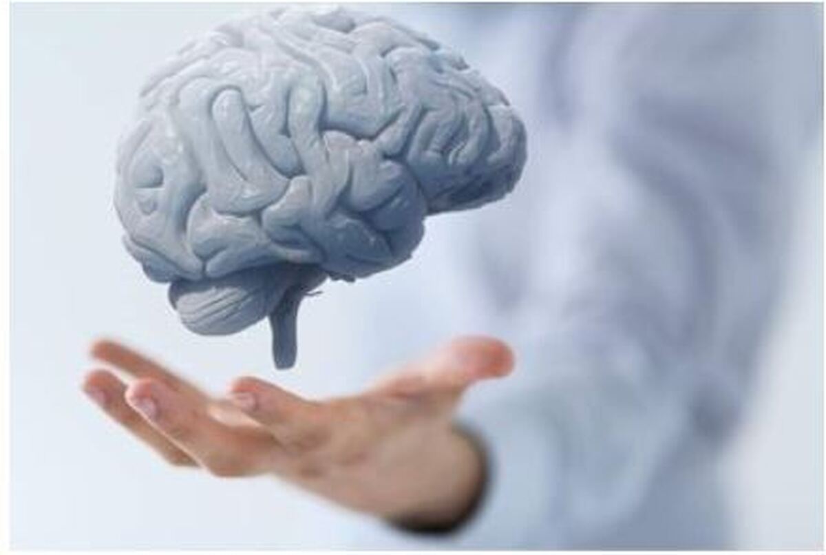 به کمک این خوراکی‌های خوشمزه عملکرد مغزتان را تقویت کنید