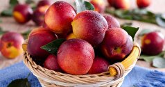 به کمک این میوه پر طرفدار با کمترین زحمت وزن کم کنید