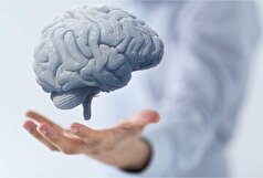 تقویت حافظه و ذهن با ۵ خوراکی معجزه آسا