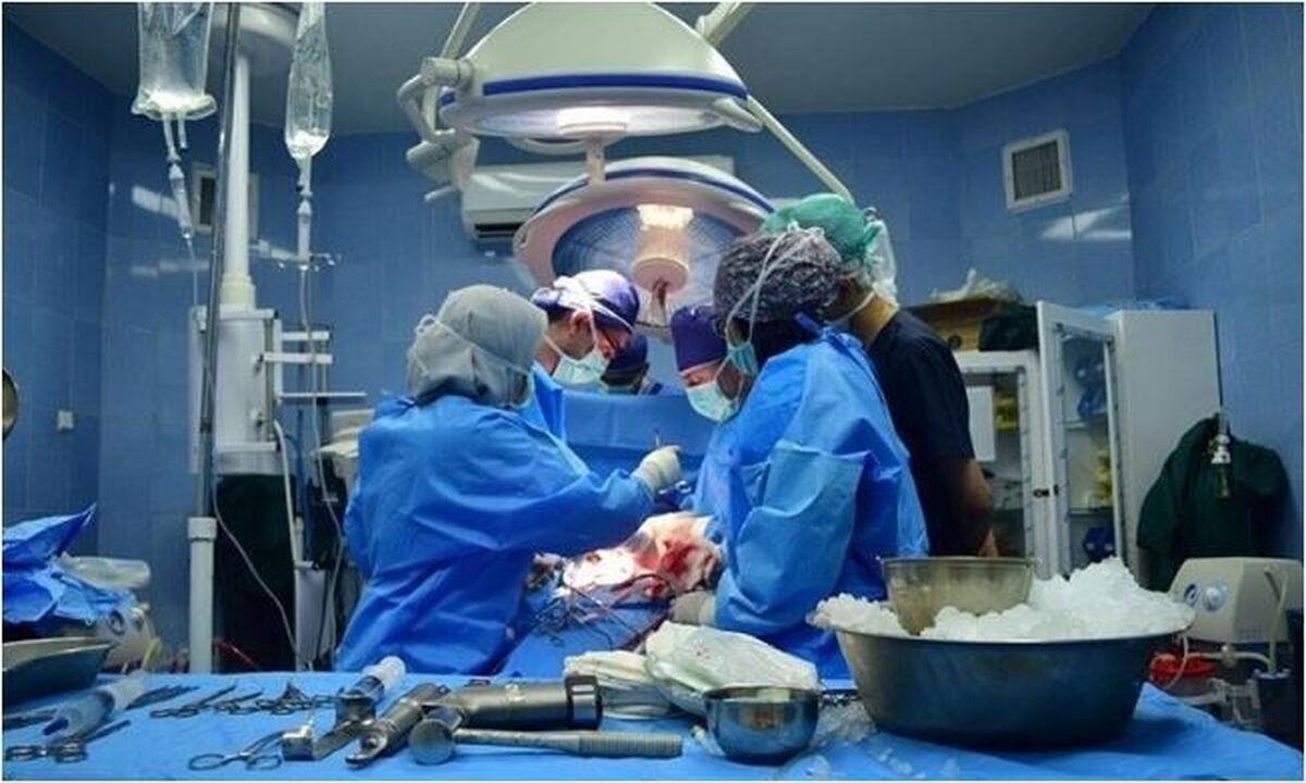 طمع چیدن گردو از بلند‌ترین قسمت درخت جان این مرد را گرفت