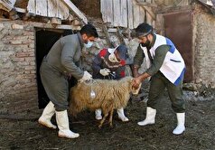 افتتاح نخستین قرارگاه جهادی دامپزشکی استان سمنان در کالپوش میامی