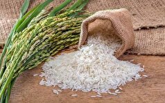 توزیع برنج پاکستانی ۲ برابر نرخ مصوب در بازار