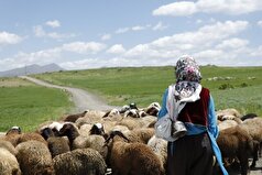 «دشت می‌خواند» در ۲ جشنواره فرانسوی