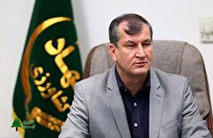 معاون وزیر جهاد کشاورزی: درآمد ارزی باغبانی به ۴.۳ میلیون دلار رسید
