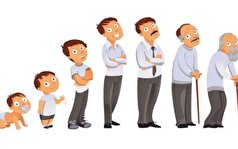 قد کم هم میشود؟