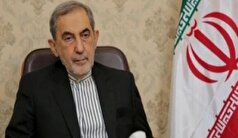 واکنش ولایتی به آتش‌بس غزه
