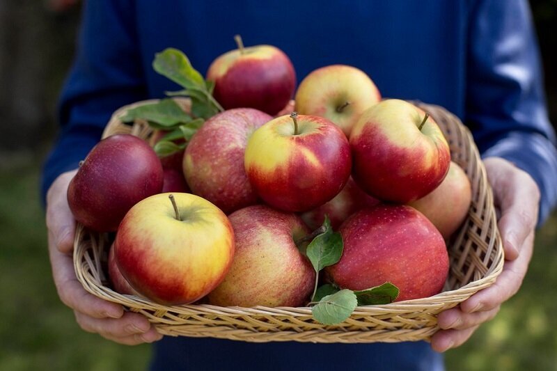 یک دمنوش خوش عطر و بو که سرماخوردگی رو دو سوته درمان می‌کنه!
