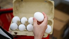 یک متخصص تغذیه از غذا‌هایی نام برده است که مغز را در وضعیت خوبی نگه می‌دارند.