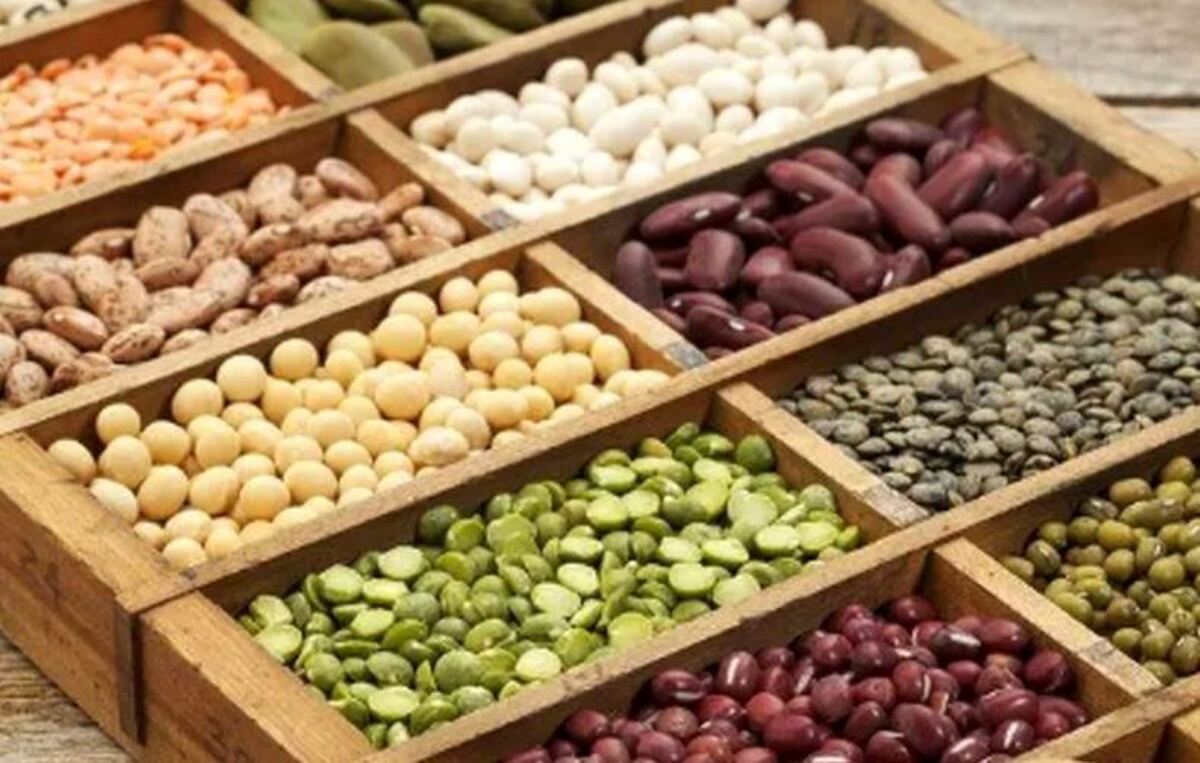 مراقب مقدار مصرف حبوبات باشید، خطر نقرس در کمین است!