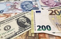 ذخایر ارزی ترکیه به بالاترین سطح خود رسید