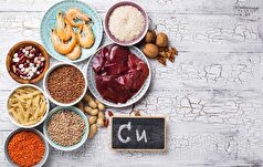 مغز ما به چقدر مس نیاز دارد؟