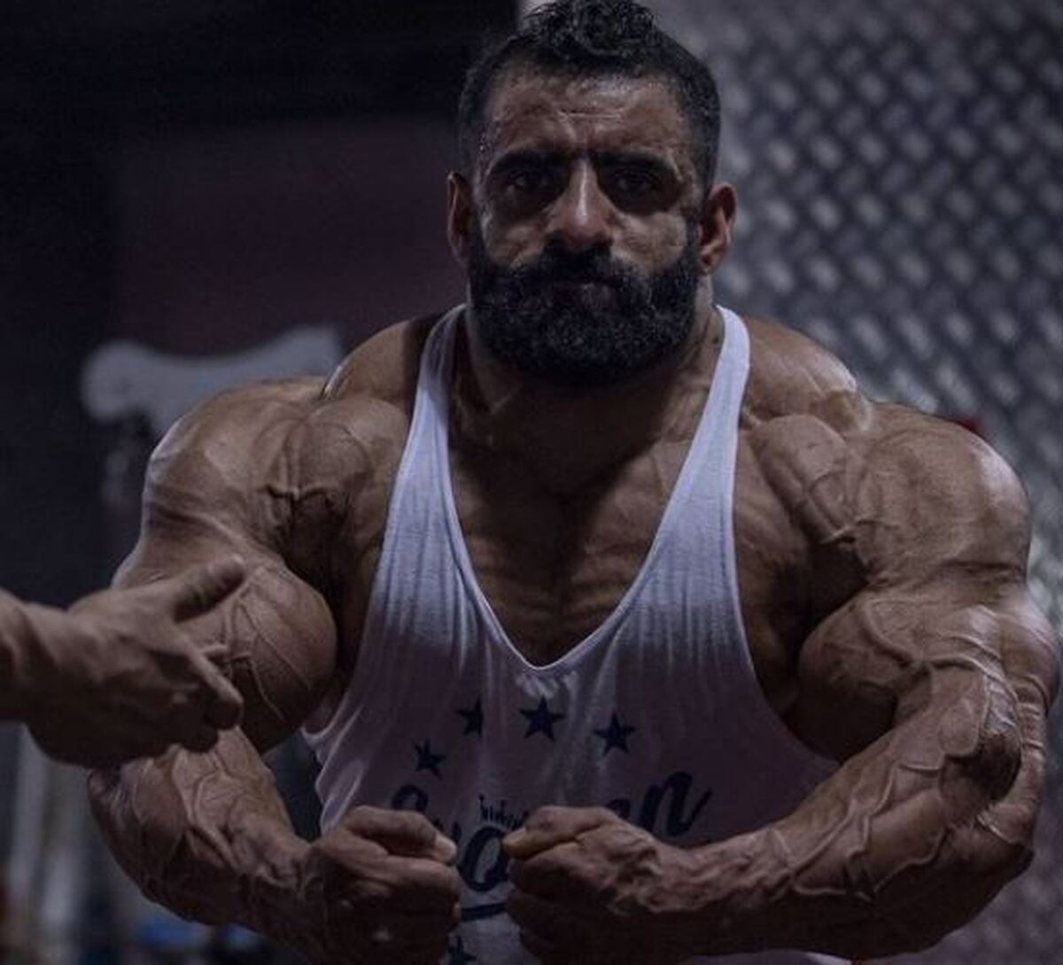 نگاهی به افتخارات و قهرمانی‌های گرگ پارسی!