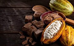 اثرات کاکائو بر سلامتی حقیقت دارد؟