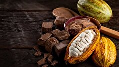 خواص زیاد کاکائو به شرط اصل بودن
