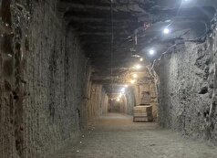 حیات ۴۰ هزار ساله یخ زده مجددا بیدار شد!