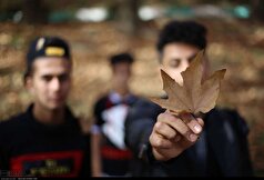 پایان دست‌وپنجه نرم کردن با افسردگی پاییزی!