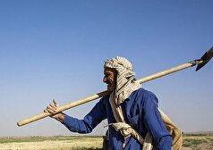 سهمیه‌بندی ناعادلانه سوخت پمپ‌های کشاورزی باید اصلاح شود
