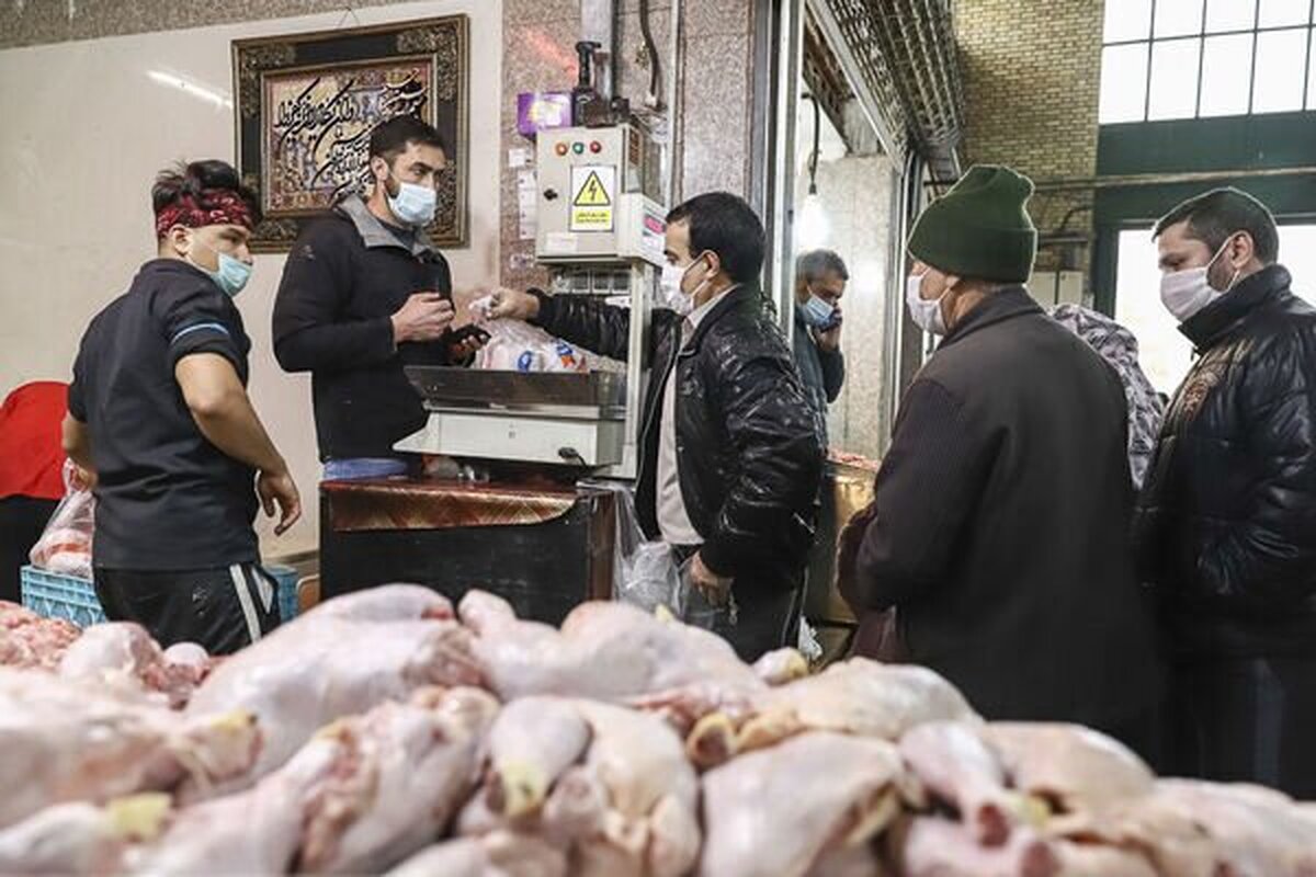 علت گرانی مرغ و گوشت مشخص شد